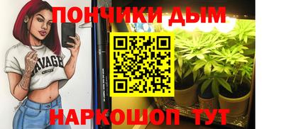 Альфа ПВП Гудермес