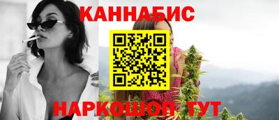 Альфа ПВП Гудермес