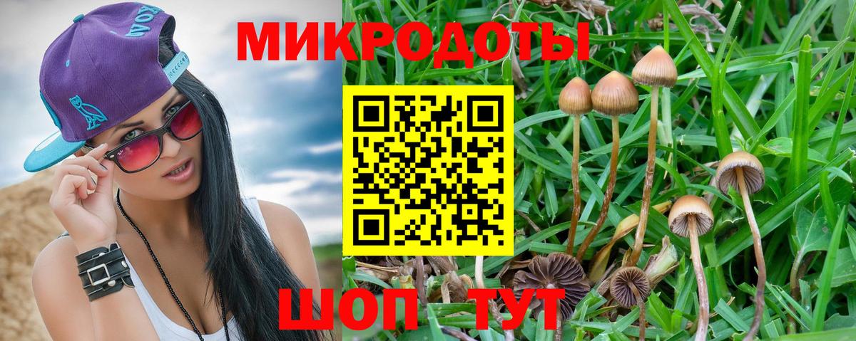 Павловский Посад  Псилоцибиновые грибы мухоморы  Вход с VPN  Галлюциногенные грибы GOLDEN TEACHER 