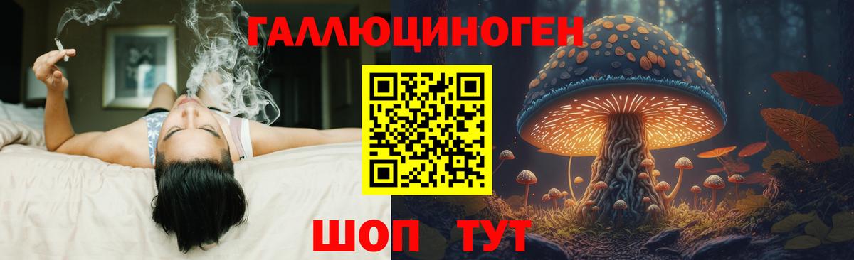 Галлюциногенные грибы мухоморы Павловский Посад